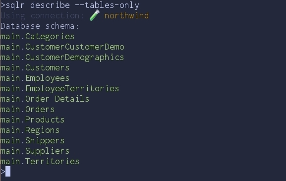 sqlr describe